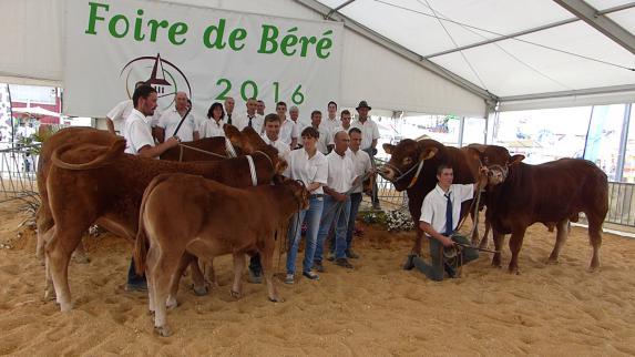 Loire-Atlantique L'élevage : l'ADN de Béré