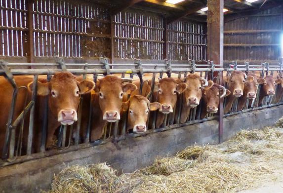 Loire-Atlantique Inscrivez-vous à l'une des Journées de l'élevage viande