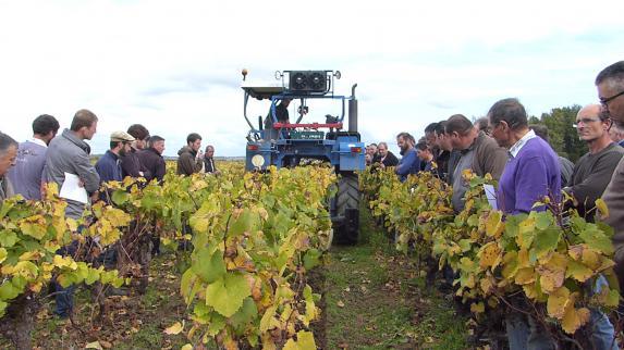 Loire-Atlantique - [video] Les vignerons, plus que jamais passionnés par leurs sols