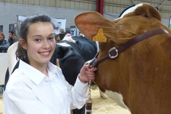 [VIDEO] Loire-Atlantique - Un concours Prim'Holstein classé grand cru !
