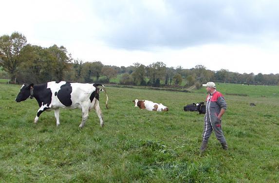 Loire-Atlantique- AG Prim'Holstein 44