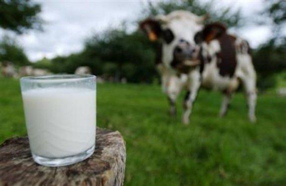Lait - Le prix de la poudre de lait écrémé se rapproche du prix de l'intervention