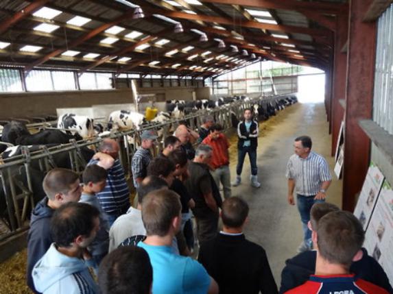 Groupe lait Chambre d'agriculture - Réunion de lancement mercredi 29 novembre dans le Sud-Loire