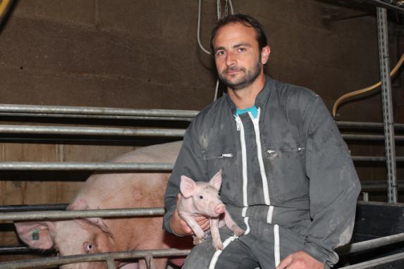 Pays de la Loire - « Continuons d'œuvrer pour un affichage du porc français »