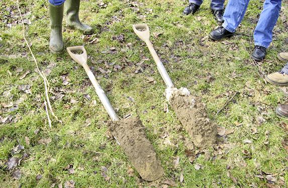 Agronomie - Vers une simplification du travail du sol : pour quels intérêts ?