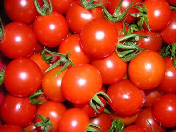Tomate : des prix soutenus grâce aux conditions climatiques estivales 