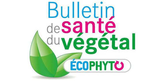 Pays de la Loire - Le Bulletin de santé du végétal pour anticiper l'état sanitaire des cultures et identifier les protections
