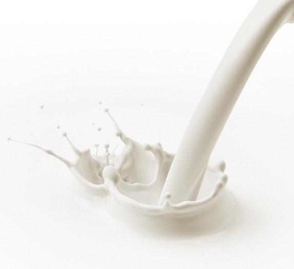Lait : Réunion sur le prix du lait en décembre autour de S. Le Foll et M. Sapin