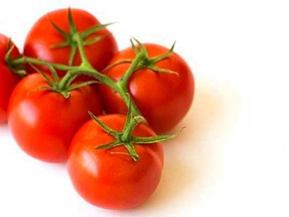 Tomates : les récoltes de la campagne 2016 sont estimées en hausse de 4%