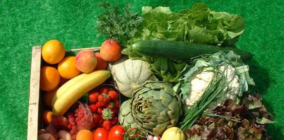 Fruits & légumes - Bruxelles veut simplifier les règles des OP