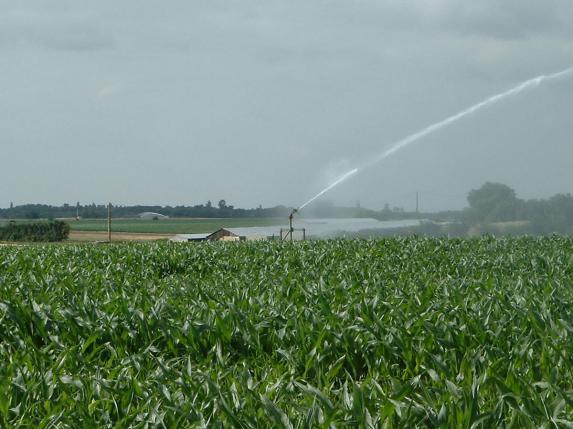 Irrigation - La FNSEA demande à N. Hulot de « sortir du tabou »