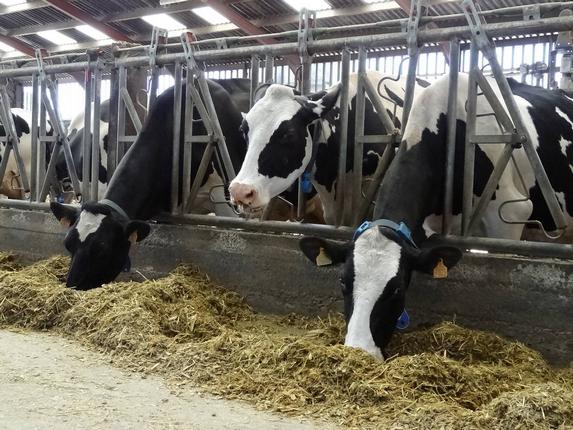 La loi Sapin 2 redonne le « pouvoir aux producteurs de lait » selon la FNPL