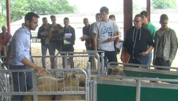 Pays de la Loire - Les ateliers ovins ont captivé éleveurs et élèves en Vendée