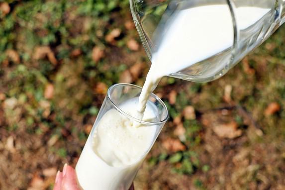 Lait - La collecte de lait de vache se replie de près de 3% en mai en France