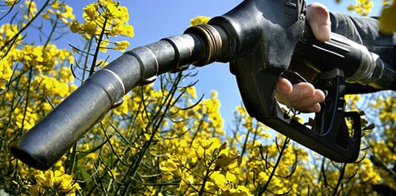 Biocarburants - les eurodéputés veulent une sortie complète en 2030