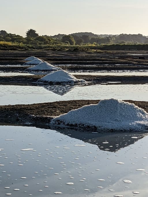 Sel - La saison de sel 2023 en deux mots : précocité et normale