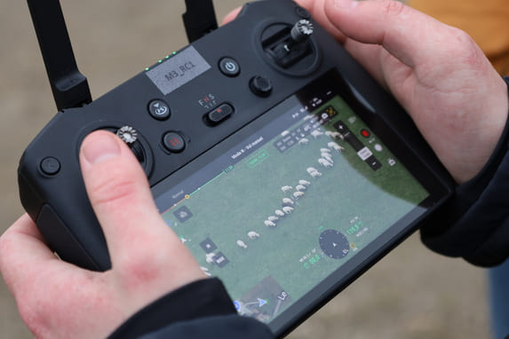 Ovin - Des drones pour compter les brebis