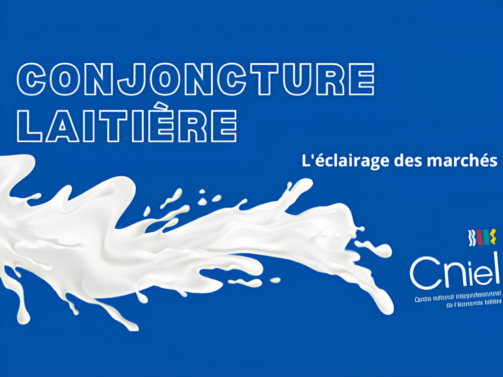 Conjoncture laitière - Décembre 2023 