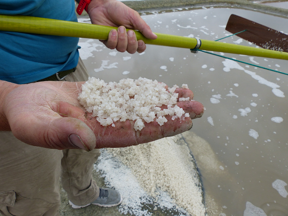 Loire-Atlantique - Saison mitigée pour les producteurs de sel