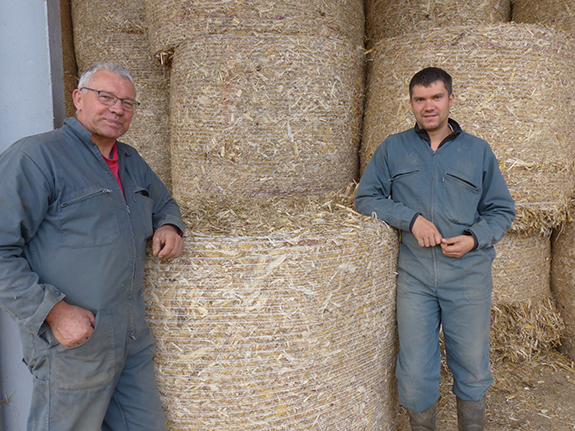 Loire-Atlantique - Les fanes de maïs, une alternative à la paille de céréales