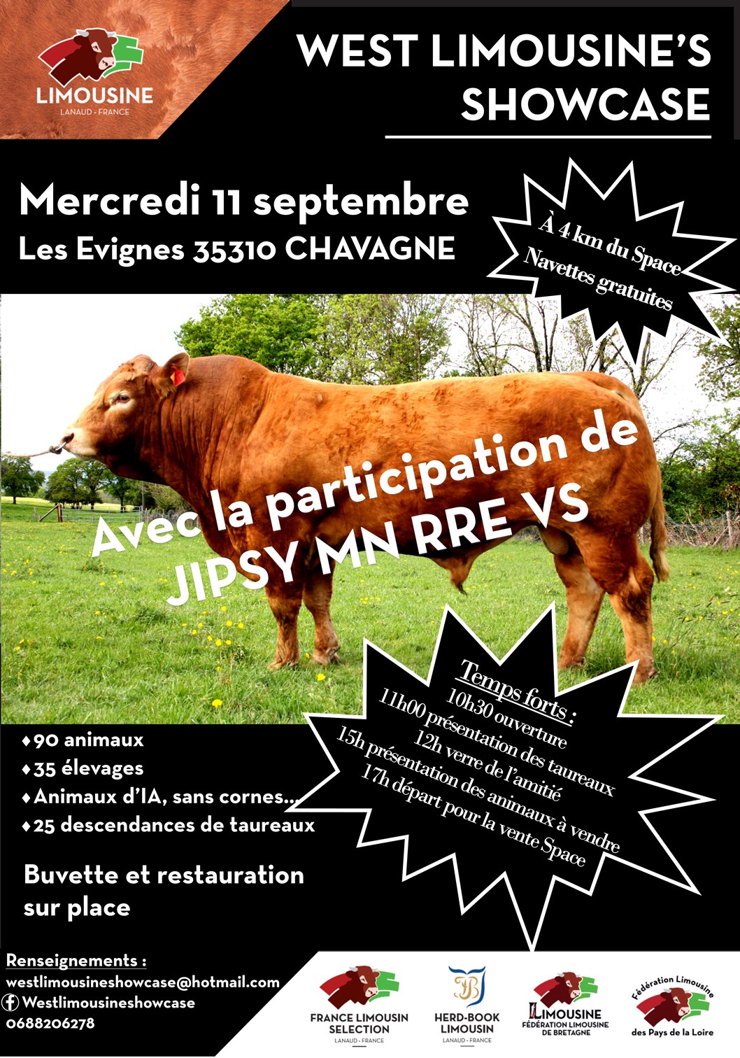 Loire-Atlantique - Trois élevages du département au West limousine's showcase le 11 septembre prochain