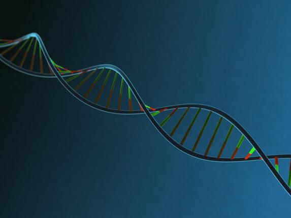Recherche - Les avancées de l'agriculture que permettra l'ADN de synthèse