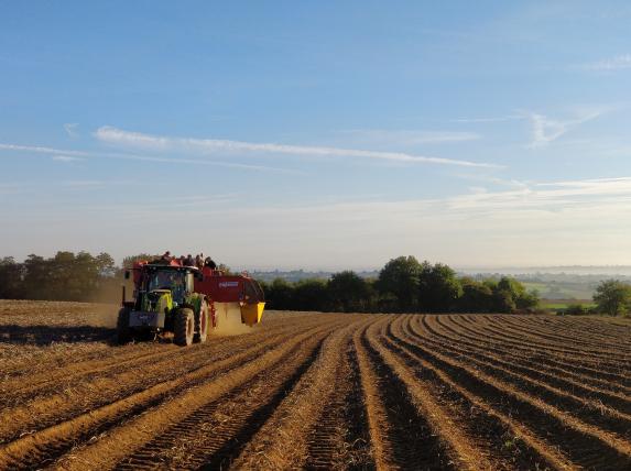 Loire-Atlantique- Recherche producteurs de plants de pommes de terre