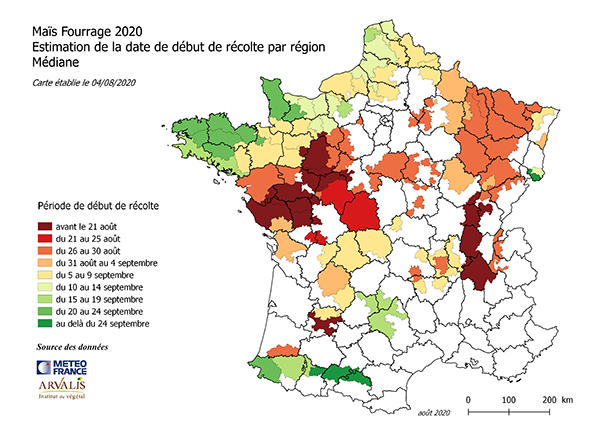 France - Récolte maïs fourrage 2020 : démarrage des chantiers prévu vers le 16 août