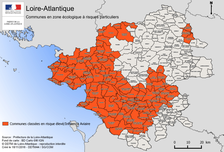 Loire-Atlantique - Influenza aviaire : niveau de risque relevé