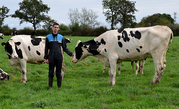 Loire-Atlantique - « Voir de belles vaches »