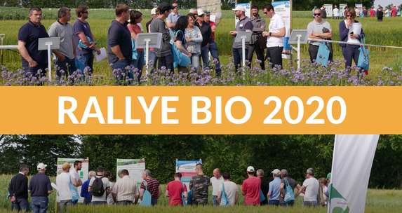 [COVID-19] Pays de la Loire - Un Rallye bio 2020 accessible à tous grâce à la vidéo