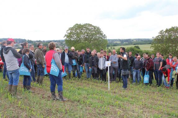 Pays de la Loire - Concilier agriculture de conservation et agriculture biologique ?